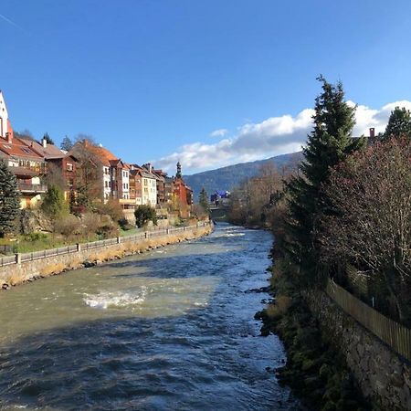Witrich Apartman Appartement Murau Buitenkant foto
